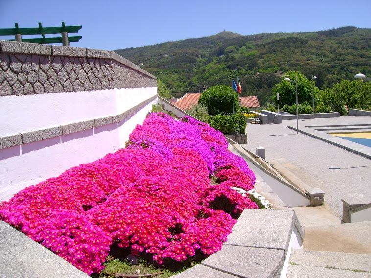 Miradouro Da Serra Monchique Exterior photo